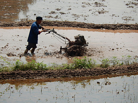 tỷ lệ ăn lô