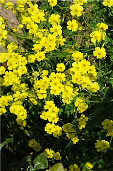 dự đoán xổ số kiên giang
