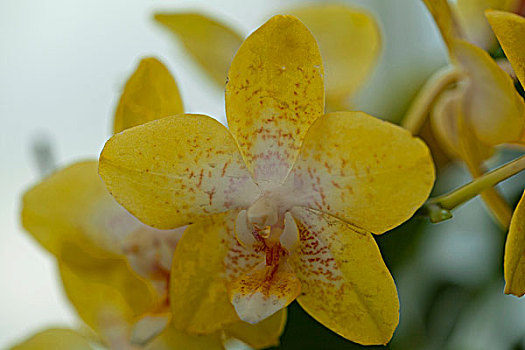 kqxs vinh lông
