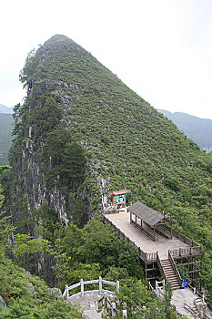 soi cau bach thu tp