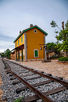 bạch thủ lô hôm nay