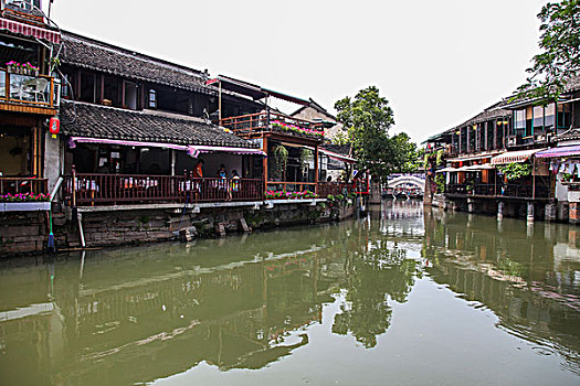 soi cau mien phi rong bach kim