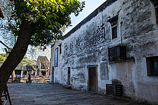 bạch thủ ngày hôm nay