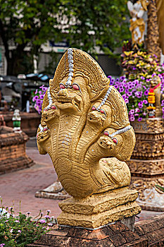 giải đặc biệt theo tuần