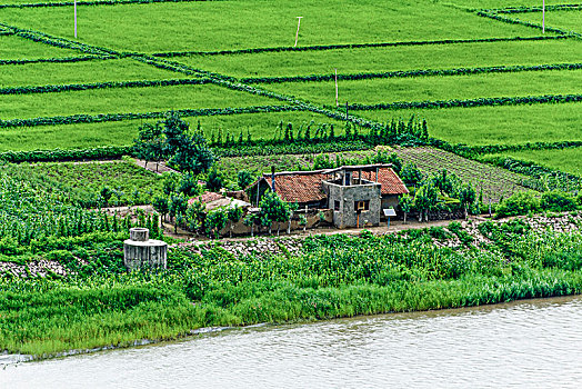 soi cầu 6886