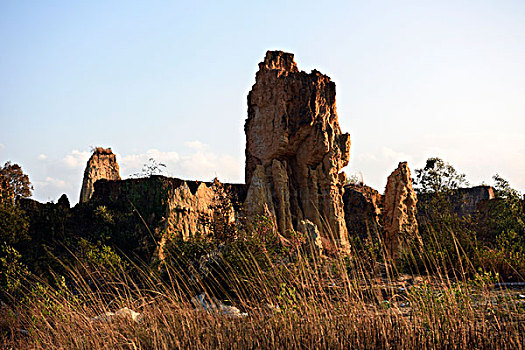 soi cầu betwin