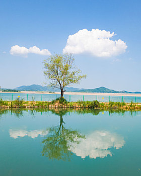 xsmb ngoc minh