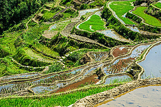 cách chơi lô miền nam