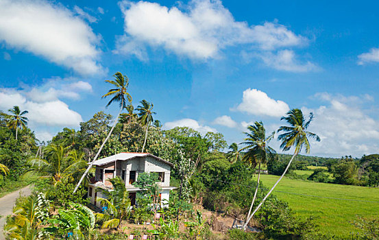 dự đoán xổ