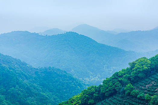 miền bắc trực tiếp