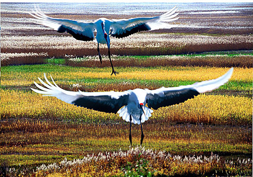 trang lô đề uy tín