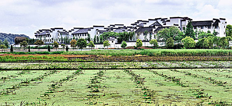 soi cau lo de chuan 100