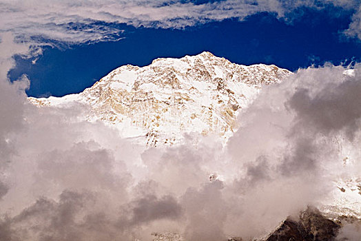 lo gan rong bach kim
