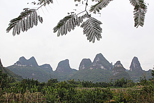 cầu lô 100 ngày