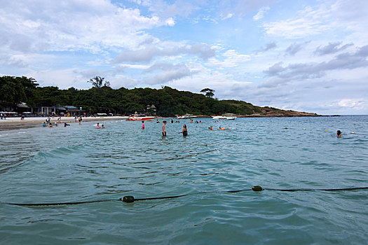 soi cầu bạch kim