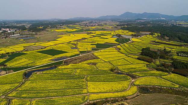 cách bắt lô xiên