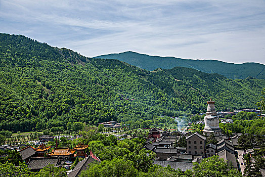 cau lo bach thu khung 5 ngay