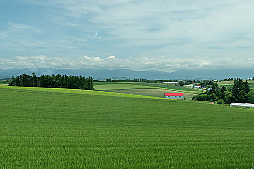 soi cau mb chinh xac
