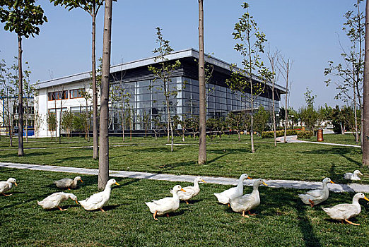 diễn đàn xsmb