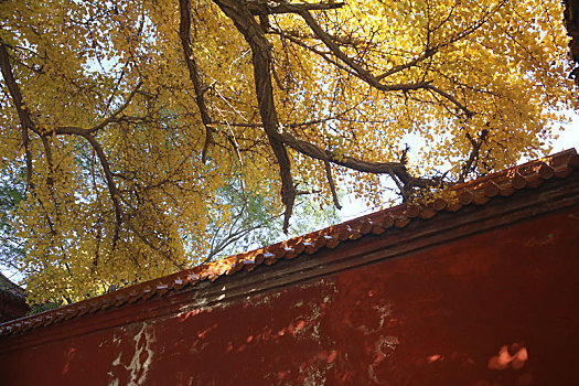 thống kê xổ số an giang
