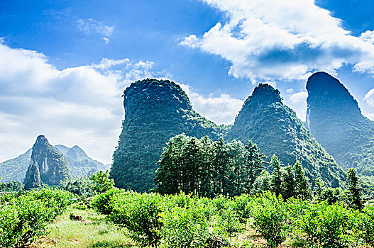 dự đoán xổ số quảng bình
