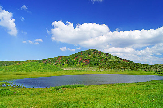 du doan kqxs rong bach kim