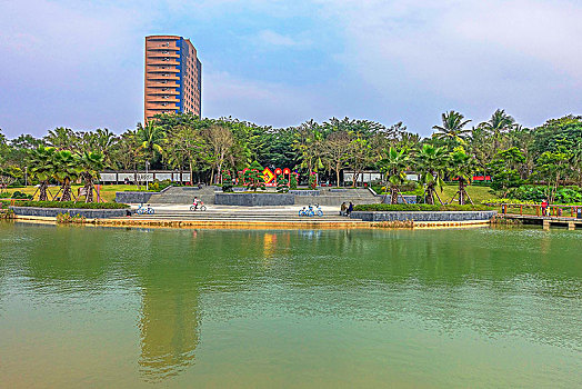 soi cau net 247