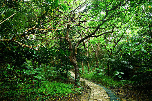 giờ vàng chốt số