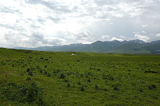 xs đa năng