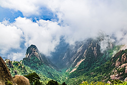 lo bạch thu