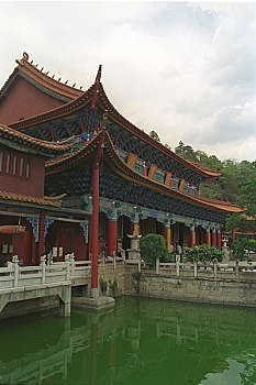 soi cau lo gan