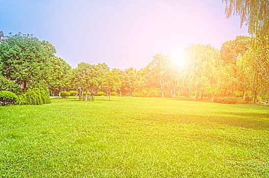 xổ số hải phòng