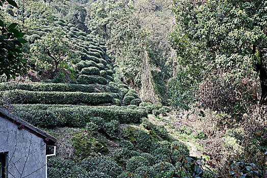 xổ số miền nam minh chính