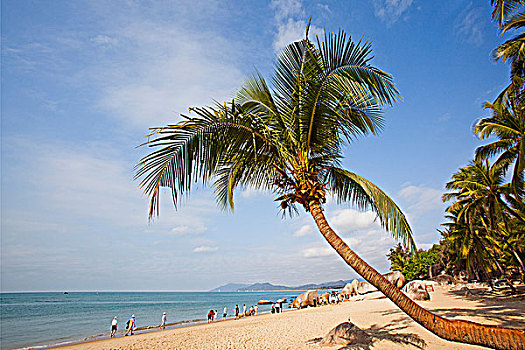 soi cầu miền bắc 247