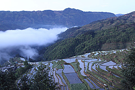ca cuoc lo de truc tuyen