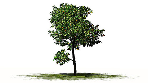 dự đoán xổ số miền bắc tối nay