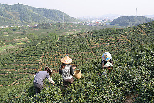 soi cầu lô xiên 2