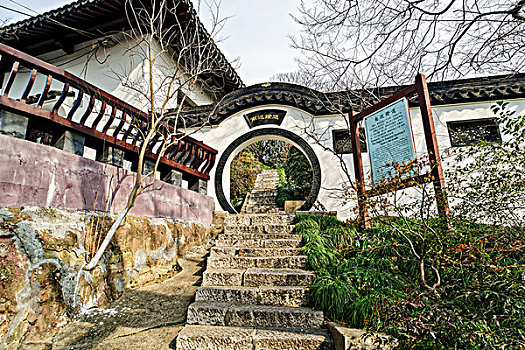 cau bạch thu