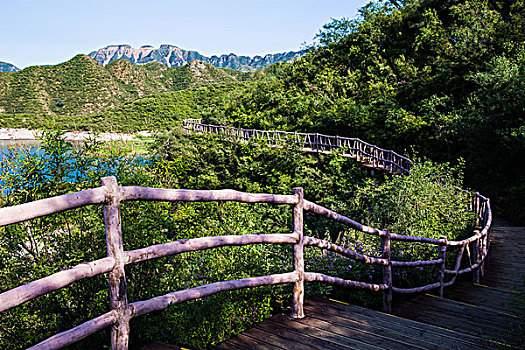 cầu bạch thủ thành phố