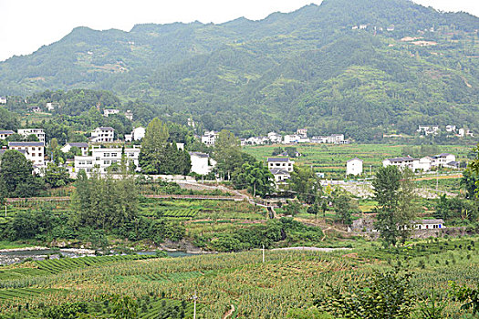 quay thử xổ số đà nẵng