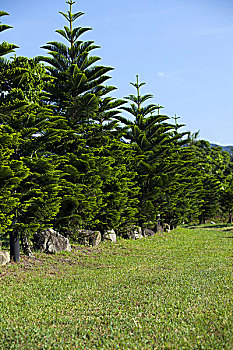 lo đe 88