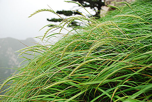 xổ số bình dương hôm nay