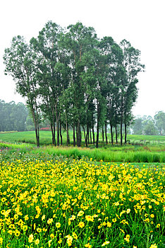lô khung 2 ngày miễn phí