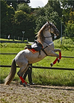 xo so mien bac truc tiep