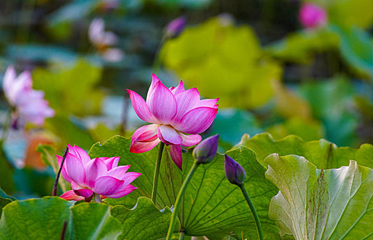xổ số miền nam thứ hai hàng tuần