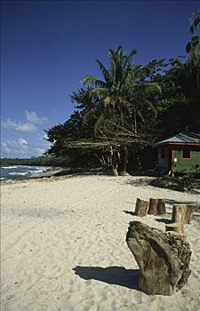 du doan so mien nam