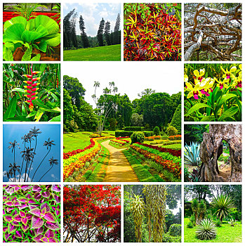 xổ số thứ 7 tuần trước