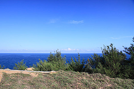 soi 888