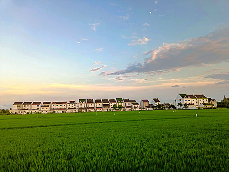xổ số 90 ngày