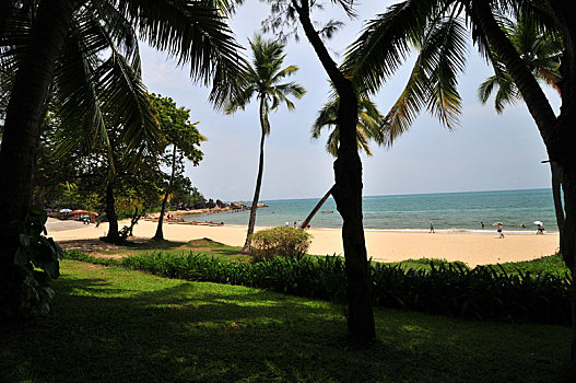soi cau thuan vu